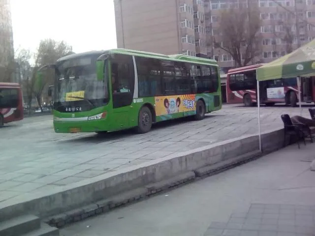 800BUS