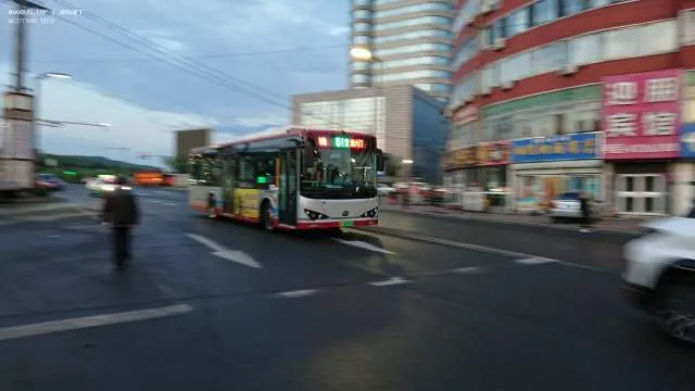 800BUS