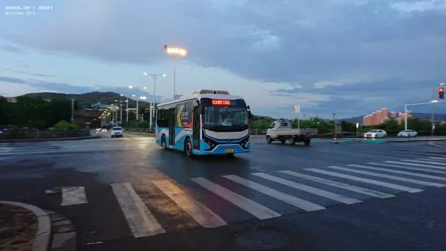 800BUS