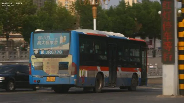 800BUS