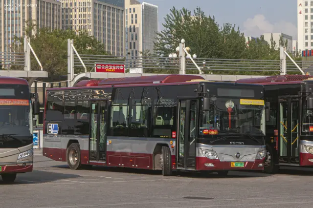 800BUS