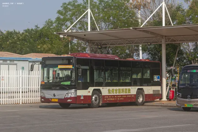 800BUS