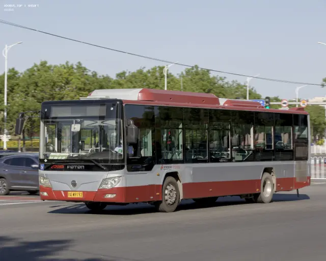 800BUS