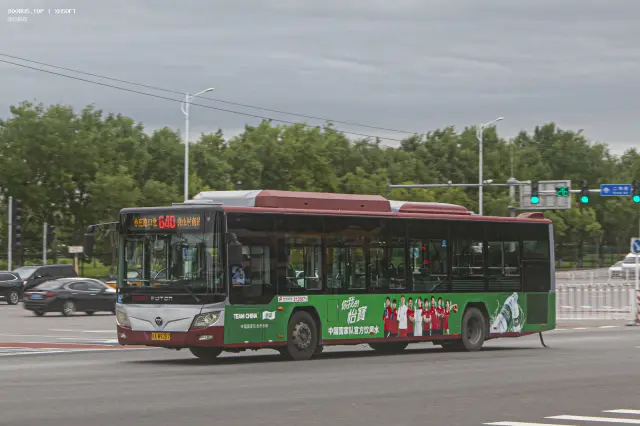 800BUS