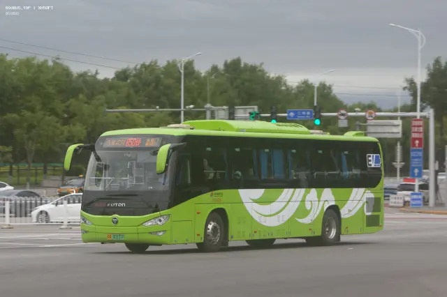 800BUS
