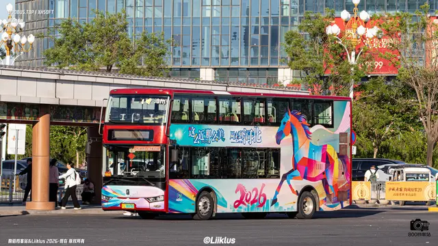 800BUS