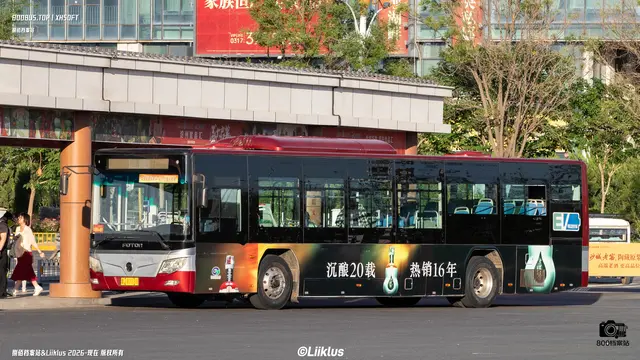 800BUS
