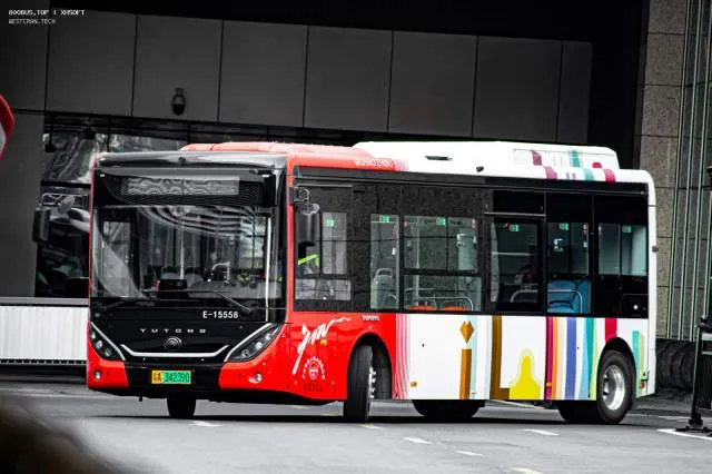 800BUS