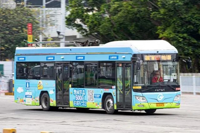 800BUS