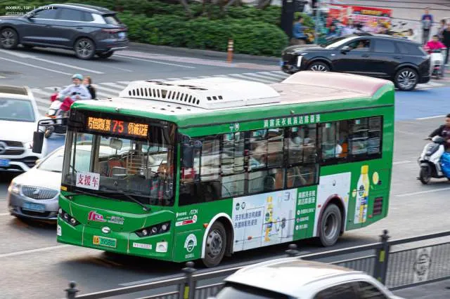 800BUS