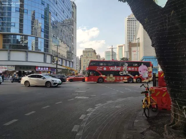 800BUS