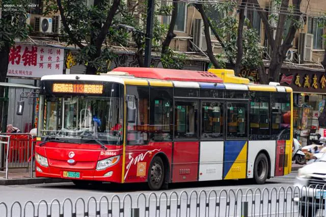 800BUS