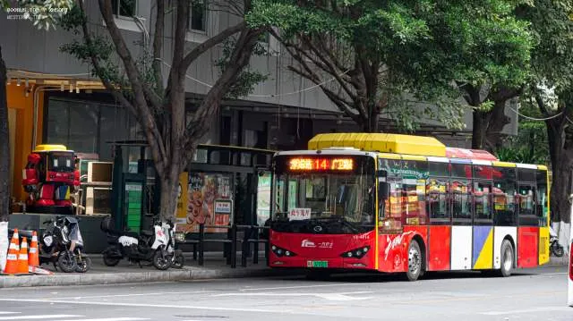 800BUS