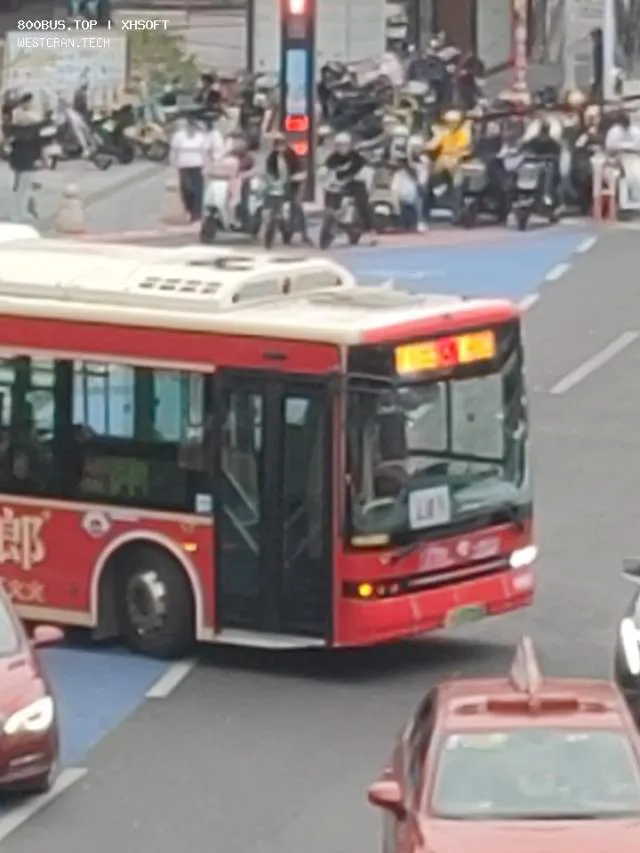 800BUS