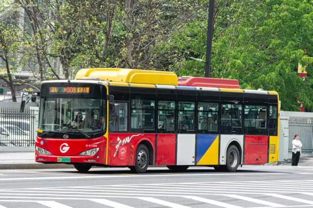 800BUS