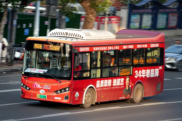 800BUS