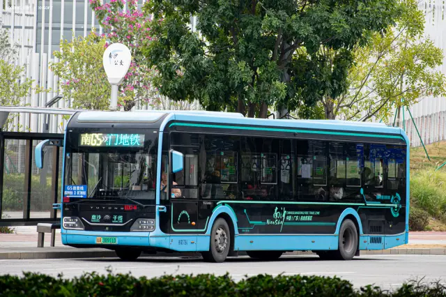800BUS