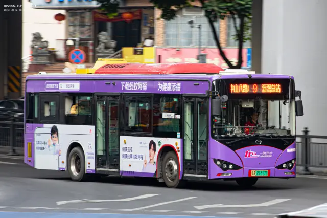 800BUS