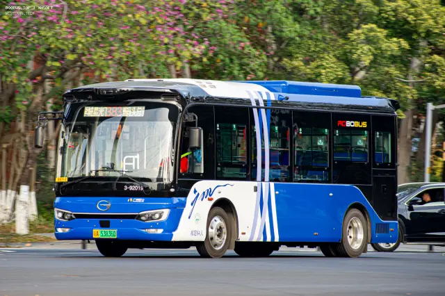 800BUS