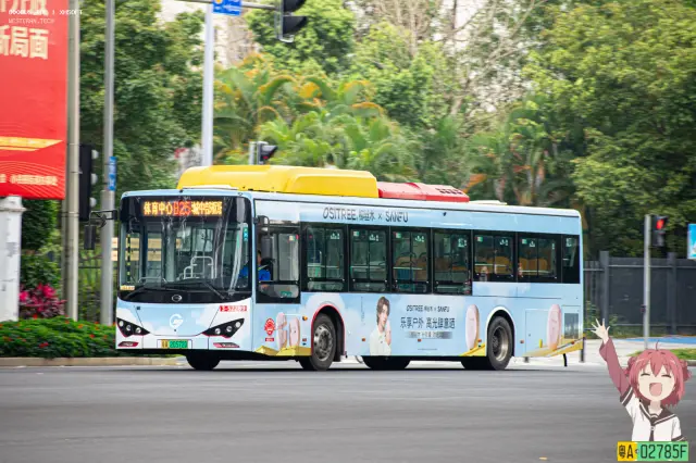 800BUS