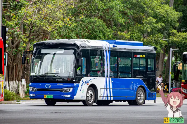 800BUS