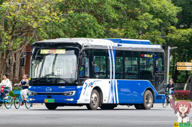 800BUS