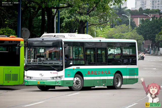 800BUS