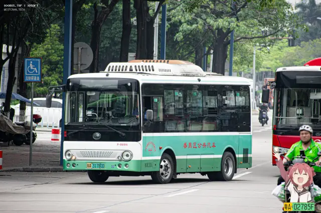 800BUS