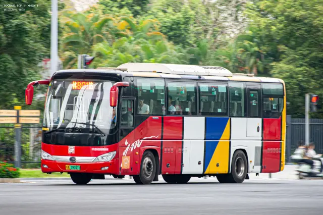 800BUS