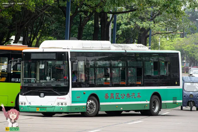800BUS