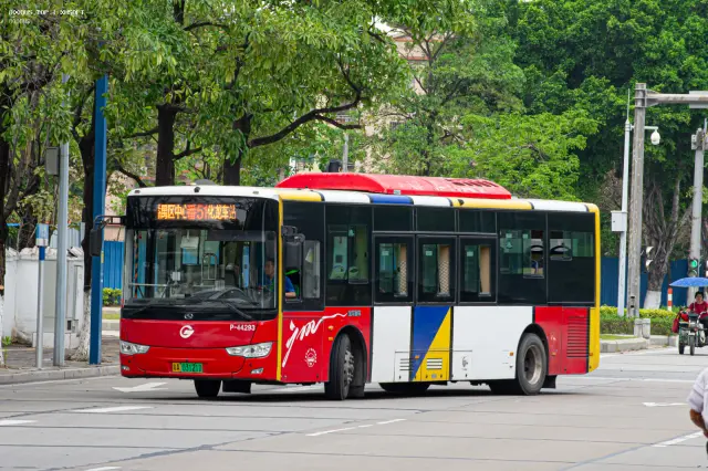 800BUS