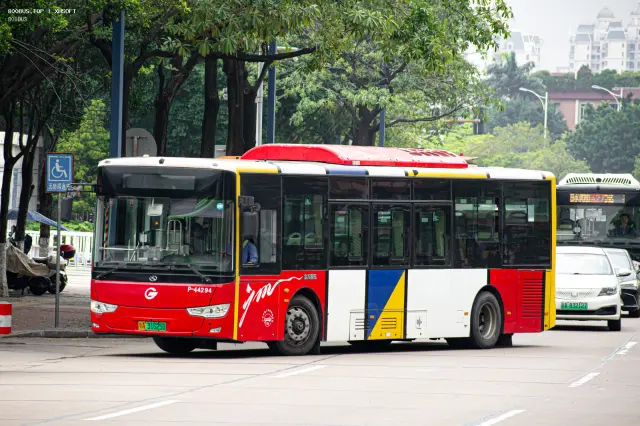 800BUS