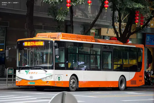 800BUS