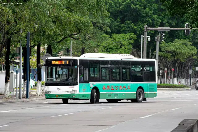 800BUS