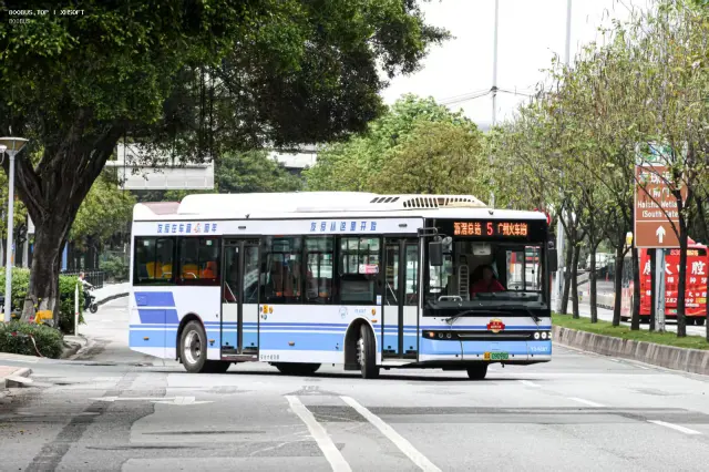 800BUS