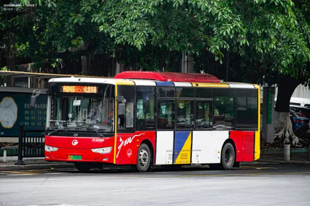 800BUS