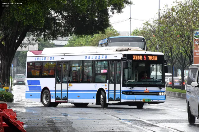800BUS