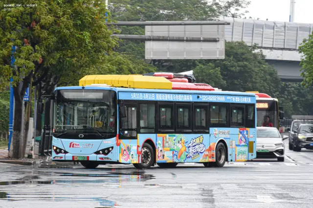 800BUS