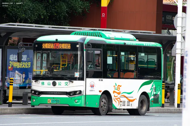 800BUS