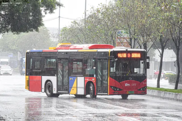800BUS