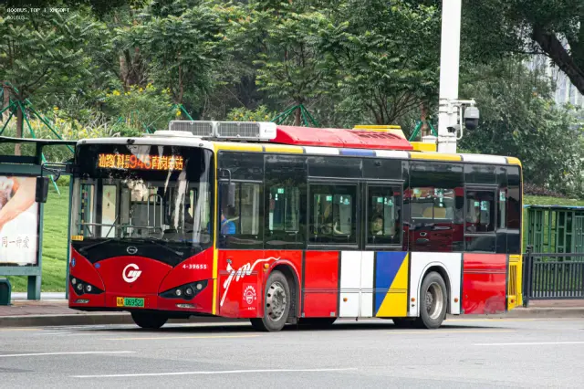 800BUS