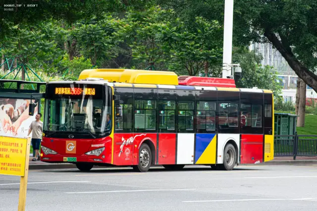800BUS