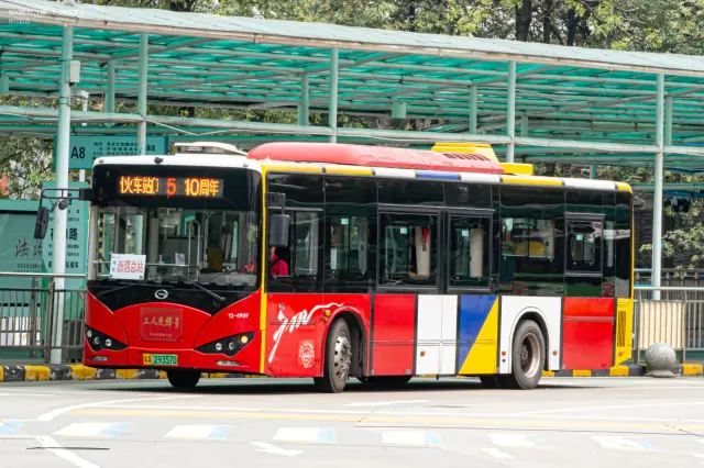 800BUS