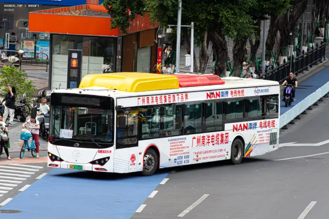 800BUS