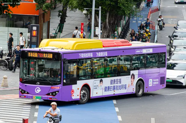 800BUS