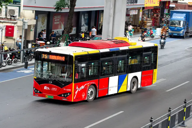 800BUS