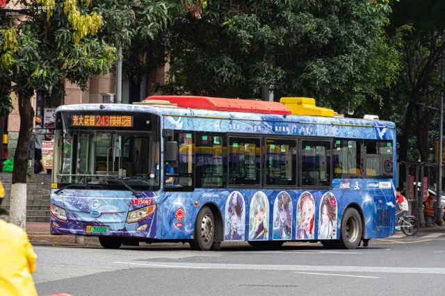 800BUS