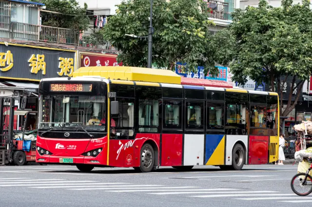 800BUS