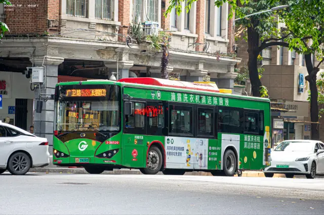 800BUS