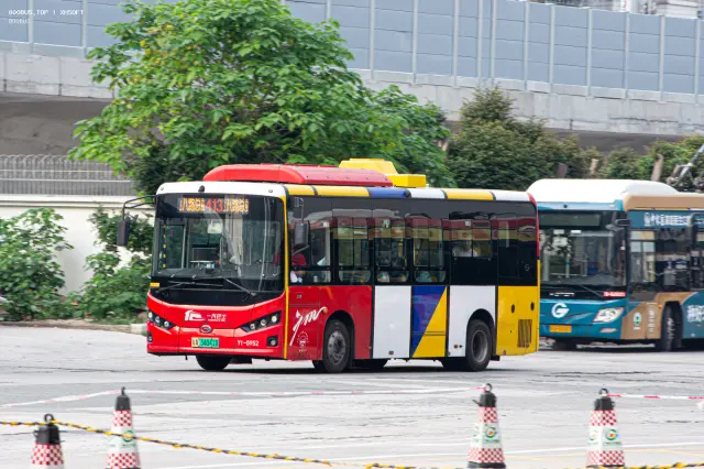 800BUS